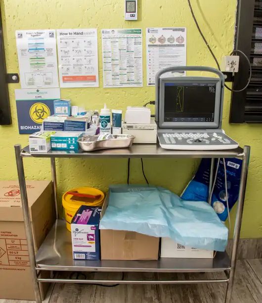 Basic Ultrasound